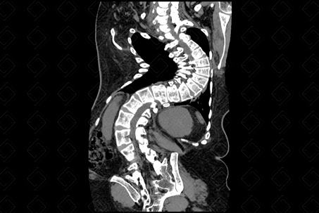 Texto alternativo para a imagem