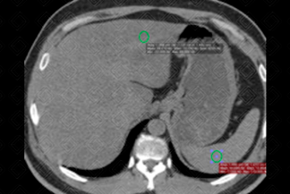 Texto alternativo para a imagem