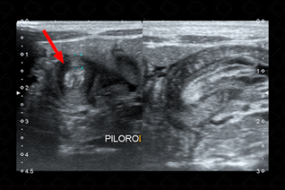 Texto alternativo para a imagem