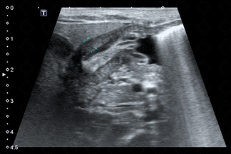 Texto alternativo para a imagem