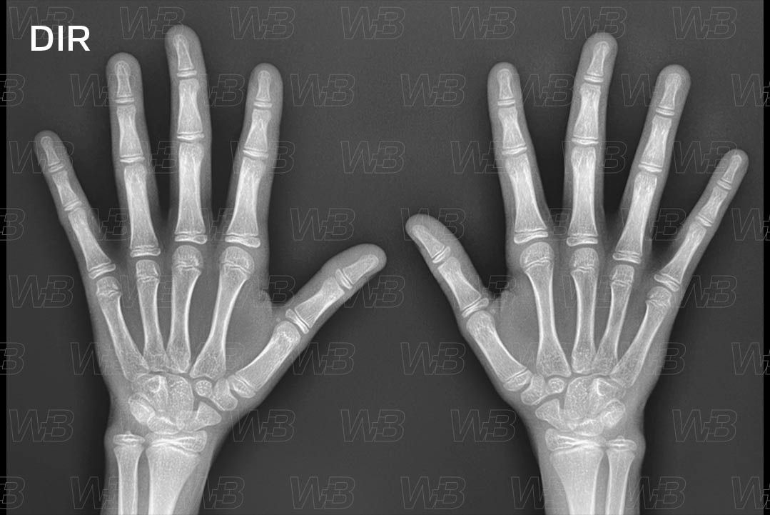 Texto alternativo para a imagem