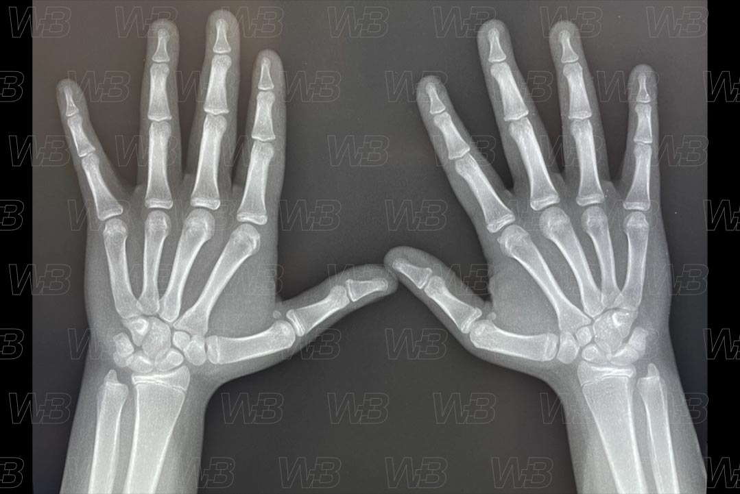 Texto alternativo para a imagem