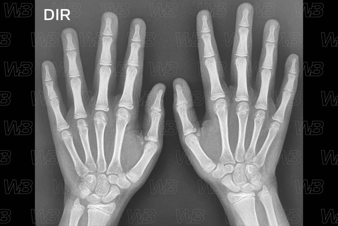 Texto alternativo para a imagem