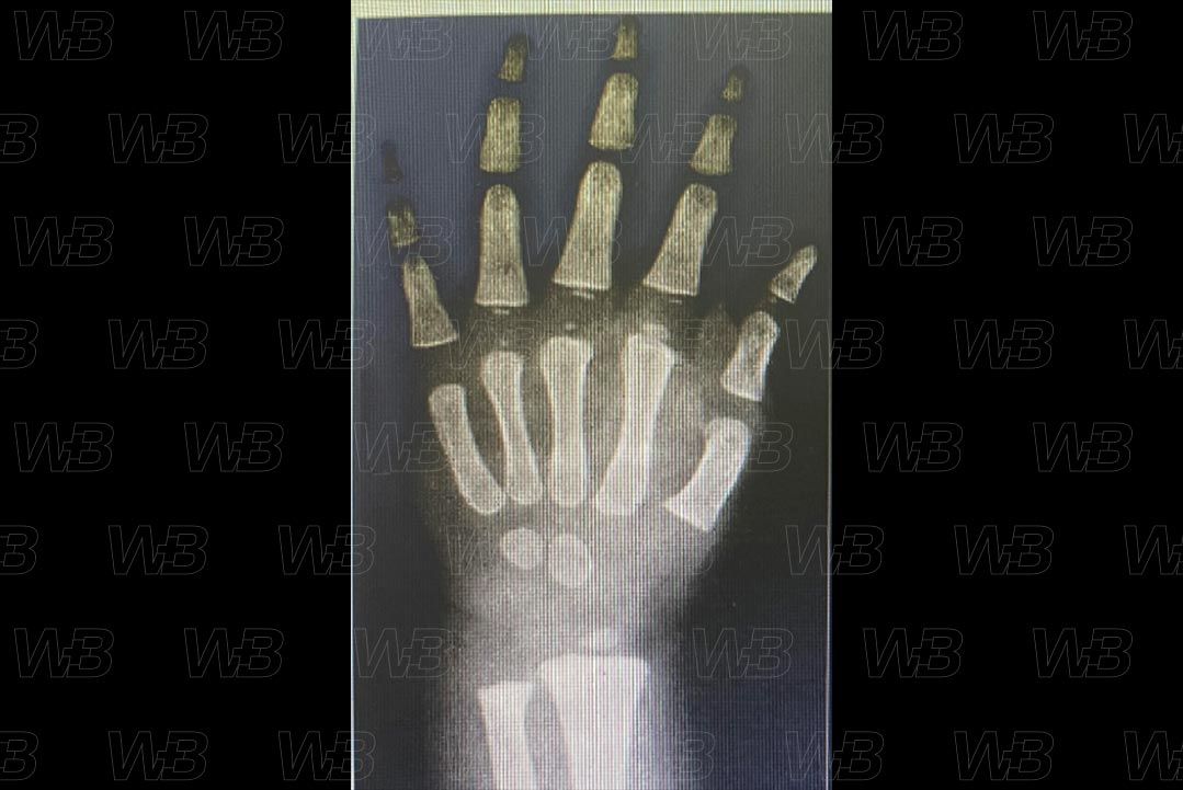 Texto alternativo para a imagem