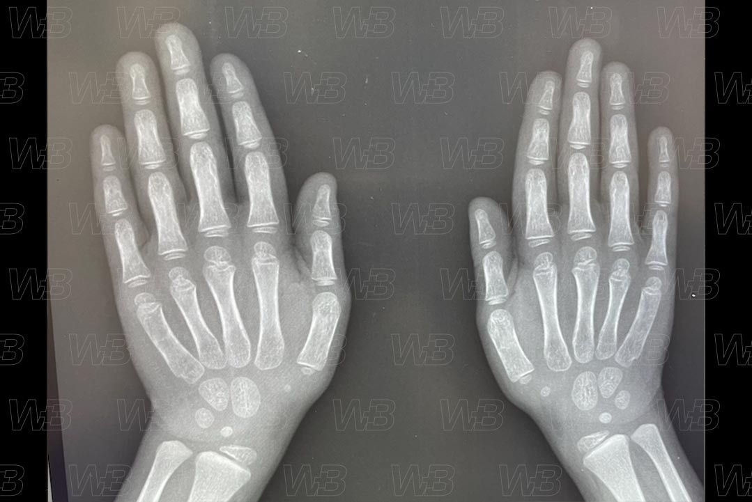 Texto alternativo para a imagem