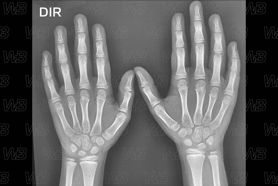 Texto alternativo para a imagem