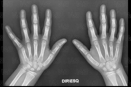 Texto alternativo para a imagem