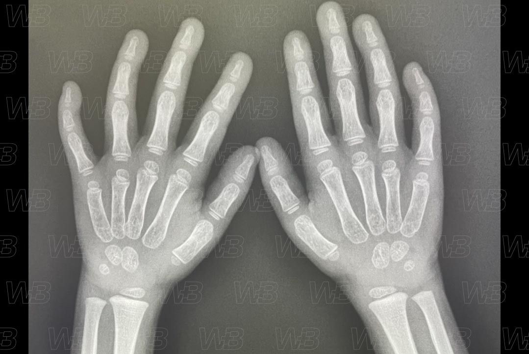 Texto alternativo para a imagem