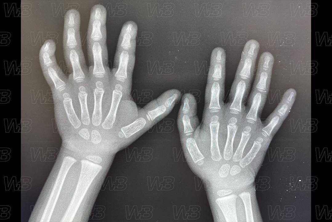 Texto alternativo para a imagem