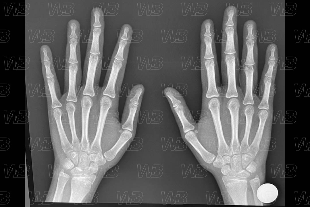 Texto alternativo para a imagem