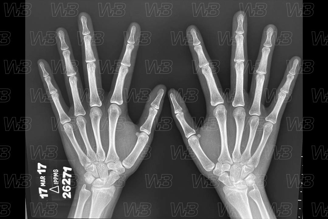 Texto alternativo para a imagem