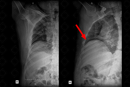 Texto alternativo para a imagem