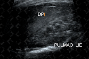 Texto alternativo para a imagem