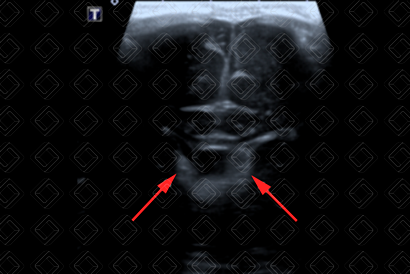 Texto alternativo para a imagem