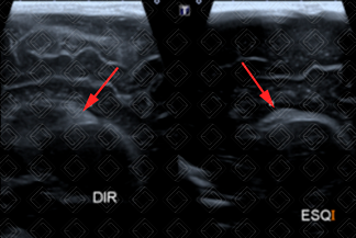 Texto alternativo para a imagem