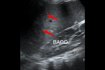 Texto alternativo para a imagem