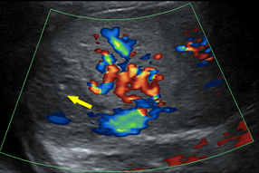 Texto alternativo para a imagem