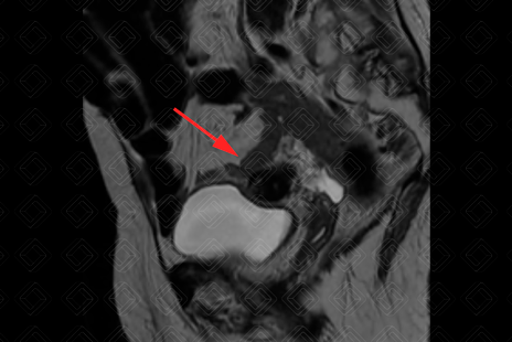 Texto alternativo para a imagem