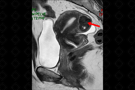 Texto alternativo para a imagem