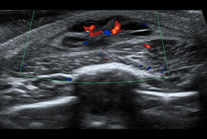 Texto alternativo para a imagem