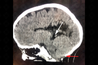 Texto alternativo para a imagem