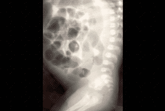 Texto alternativo para a imagem