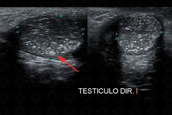 Texto alternativo para a imagem