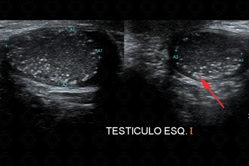 Texto alternativo para a imagem