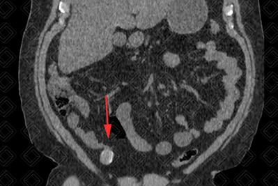 Texto alternativo para a imagem