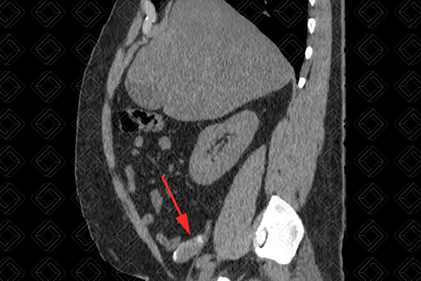 Texto alternativo para a imagem