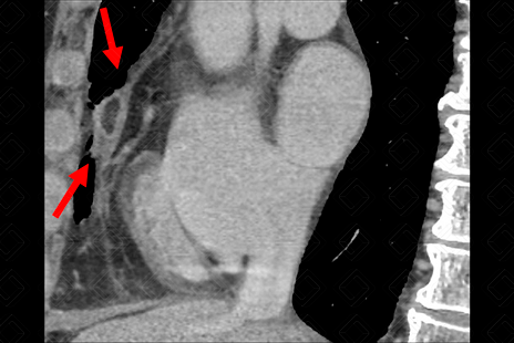 Texto alternativo para a imagem