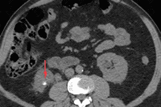 Texto alternativo para a imagem