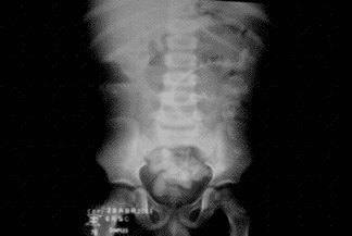 Texto alternativo para a imagem