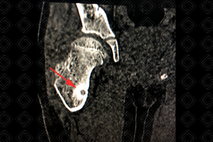 Texto alternativo para a imagem