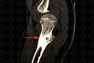 Texto alternativo para a imagem