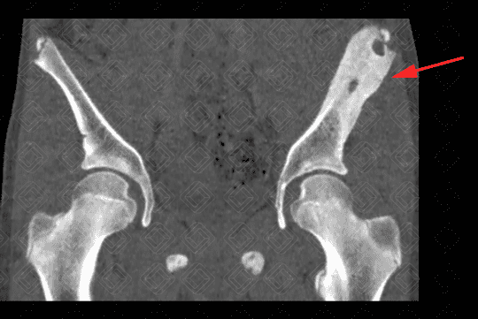 Texto alternativo para a imagem