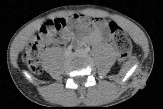 Texto alternativo para a imagem