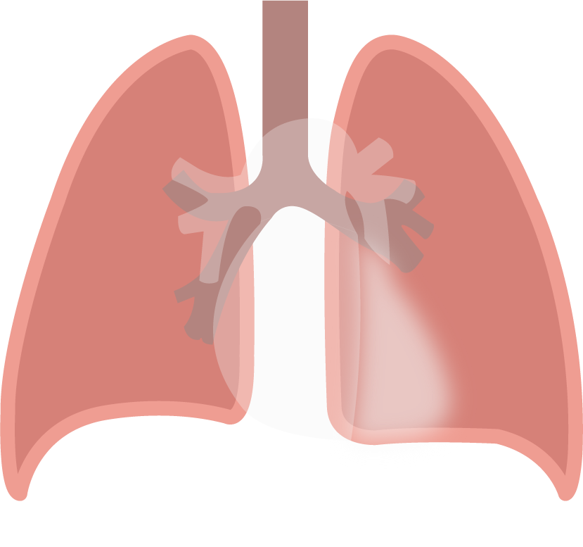 Texto alternativo para a imagem