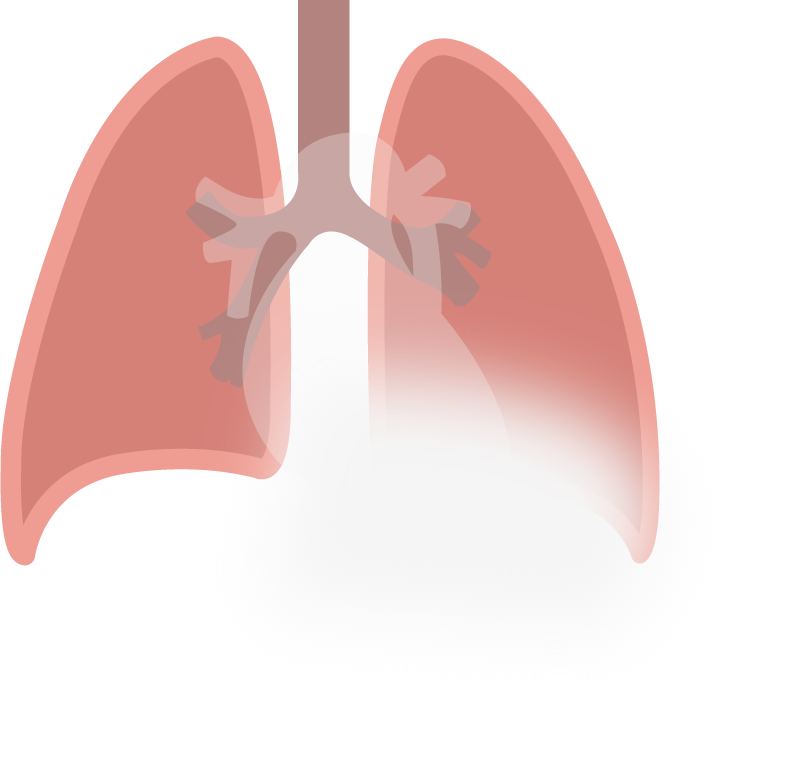 Texto alternativo para a imagem