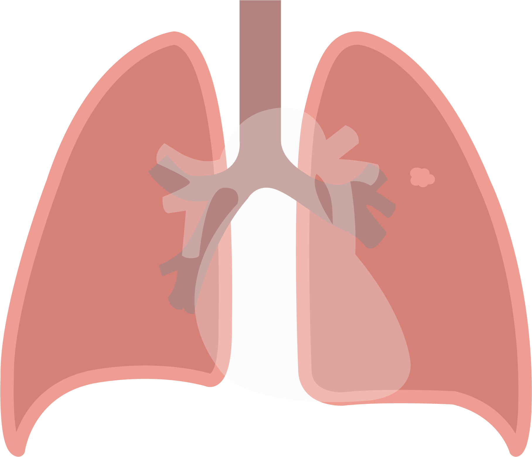 Texto alternativo para a imagem