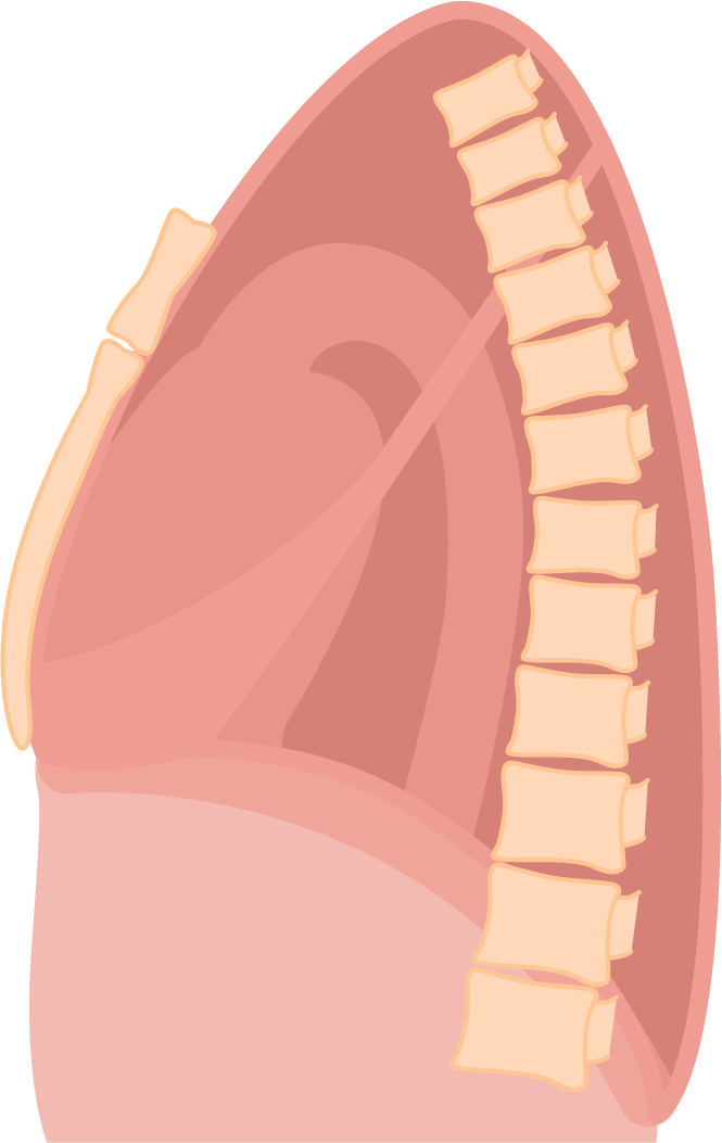 Texto alternativo para a imagem