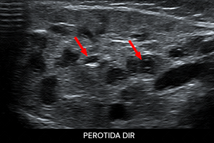 Texto alternativo para a imagem