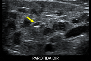 Texto alternativo para a imagem