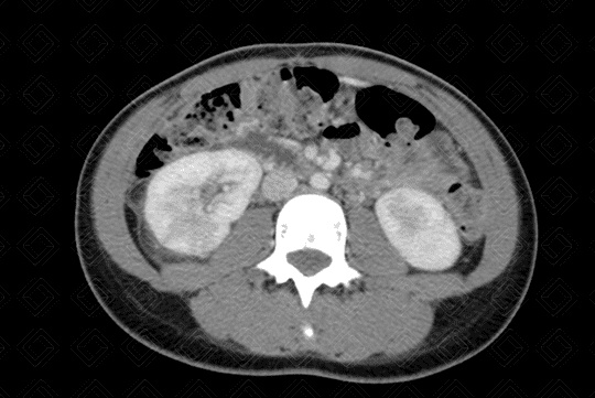 Texto alternativo para a imagem