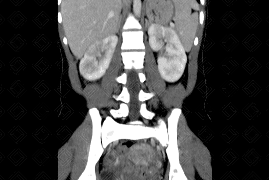 Texto alternativo para a imagem