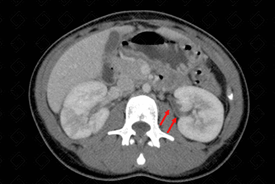 Texto alternativo para a imagem