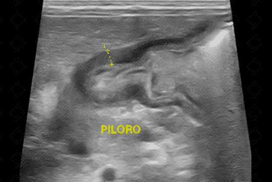 Texto alternativo para a imagem