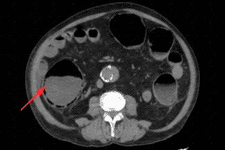 Texto alternativo para a imagem