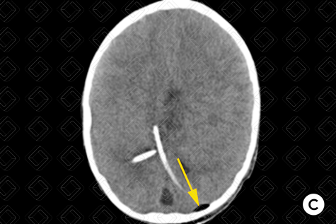 Texto alternativo para a imagem