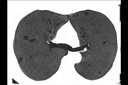 Texto alternativo para a imagem